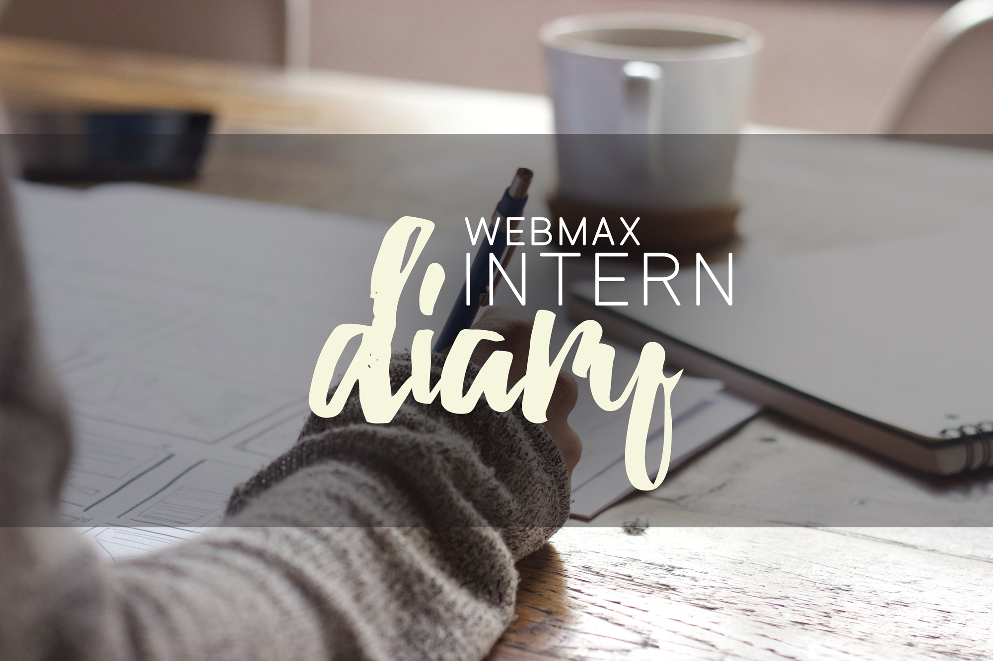 WebMax Intern Diary